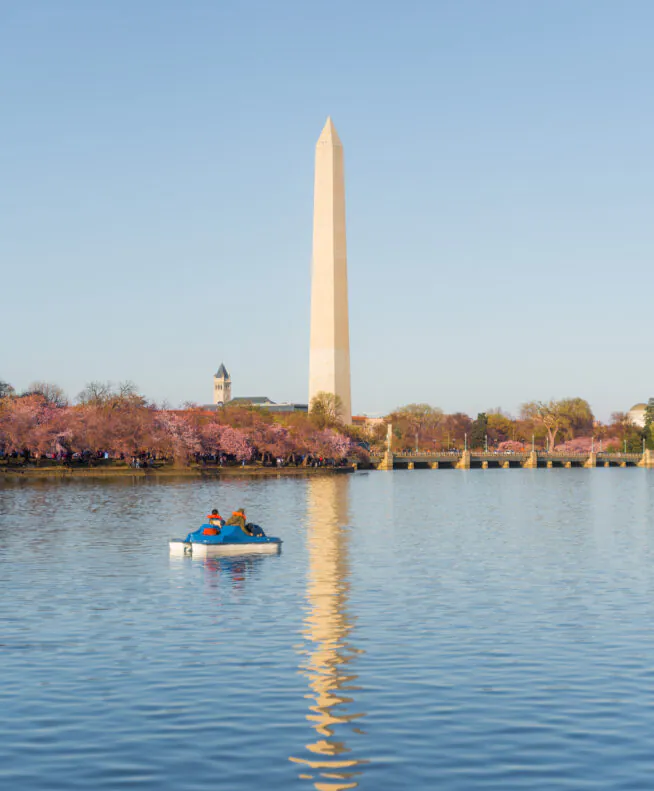 Two people paddle a blue boat on a calm lake with the Washington Monument and blooming cherry trees in the background under a clear sky.