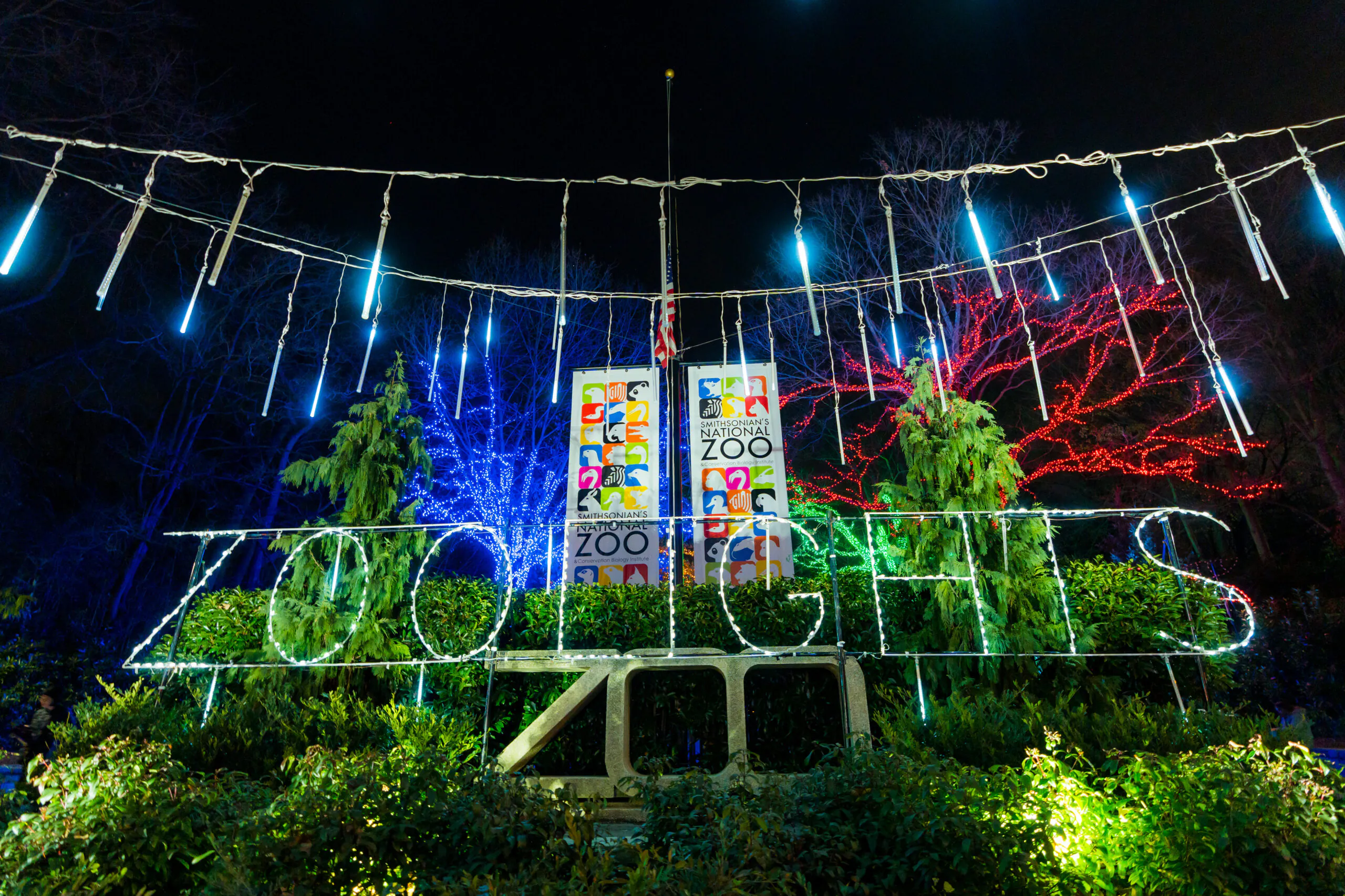 Colorful holiday lights spelling ZooLights decorate the entrance of the Smithsonian National Zoo at night, with trees lit in red, blue, and green.