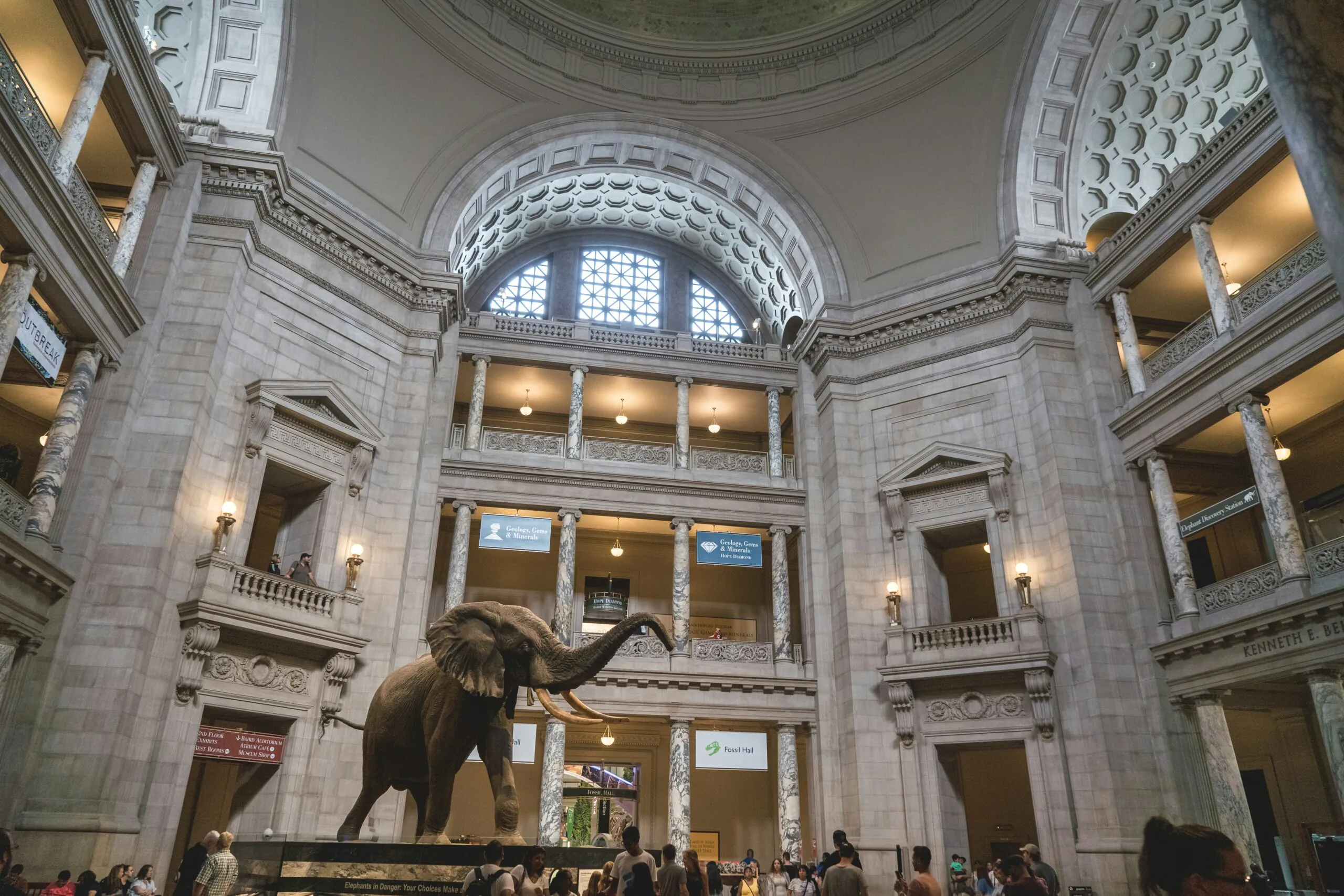 A large elephant statue stands in the grand rotunda of a museum with a domed ceiling and visitors below.